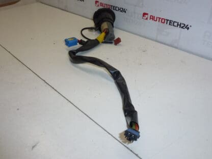 Caixa de interruptores + 1 chave Peugeot 206 4162Z1