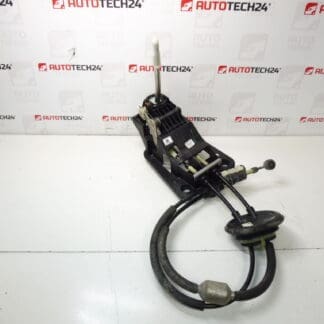 Citroën C3 DS3 Peugeot 9808161480 9837816580 Campa