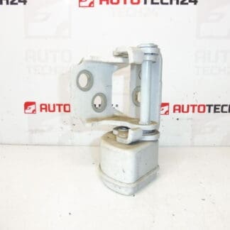 Parando a porta traseira esquerda EWP Peugeot 207 15189580 9037C1
