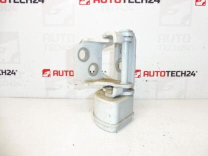 Parando a porta traseira esquerda EWP Peugeot 207 15189580 9037C1