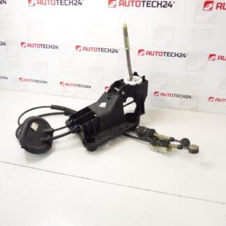 Peugeot 207 9685232980 alavanca de mudança 2400JZ