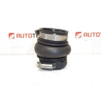 Turb 1.6 HDI Citroën Peugeot Hose